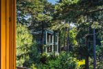 Wohnung Birute zu vermieten in Palanga, in der Birutes Avenue, neben dem Botanischen Park - 2