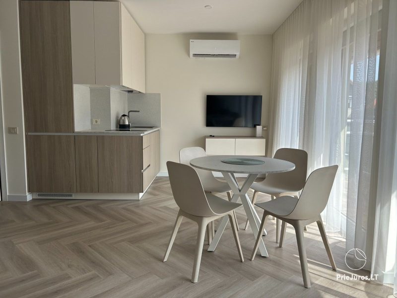 Wohnung im Zentrum der Stadt Nida
