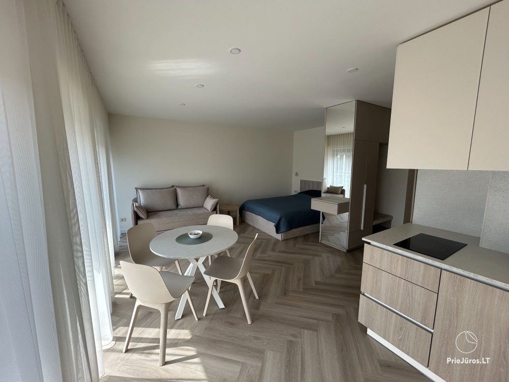 Wohnung im Zentrum der Stadt Nida