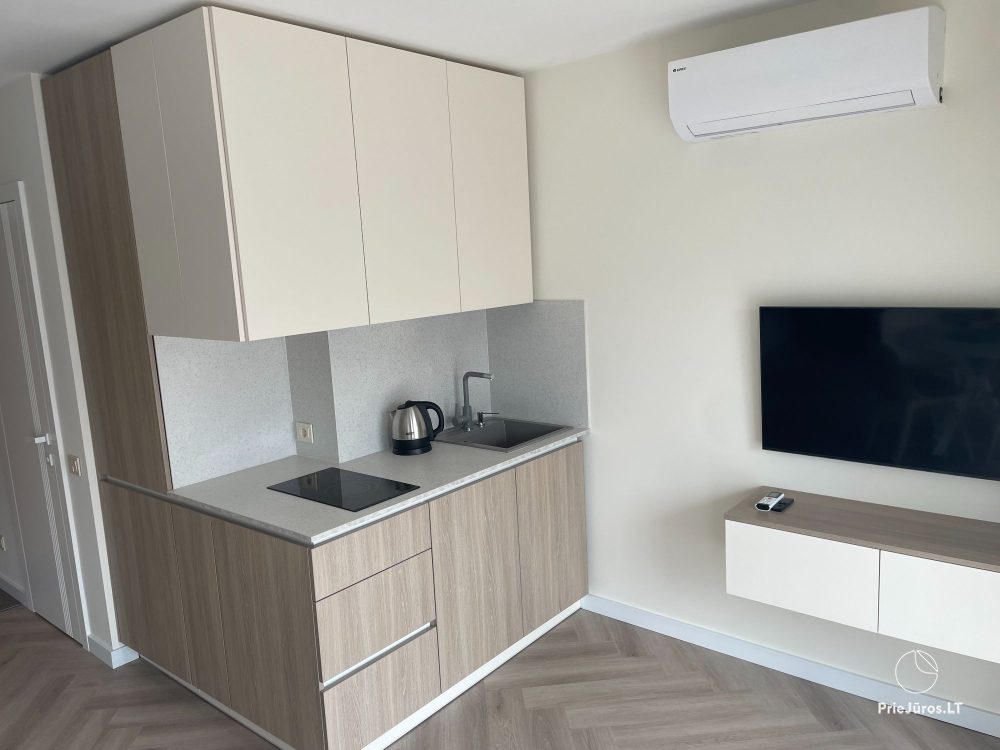 Wohnung im Zentrum der Stadt Nida