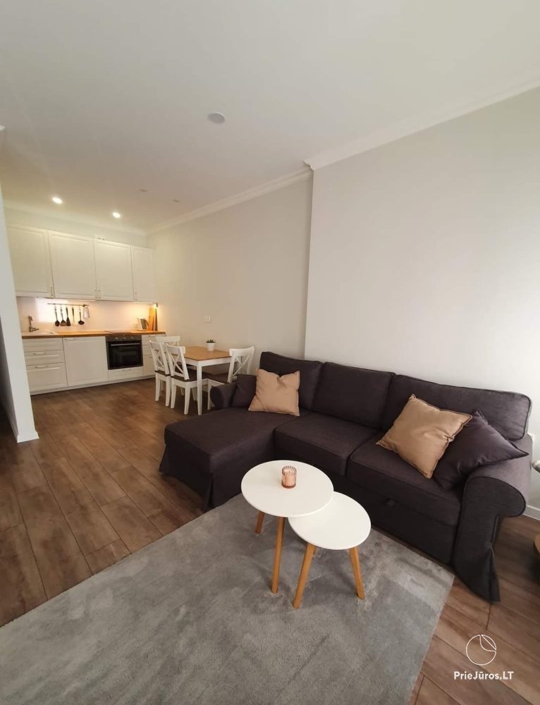 Studio-Apartment in Palanga - 1