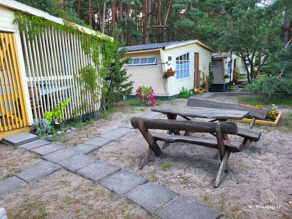Holzhäuser Pingvinas