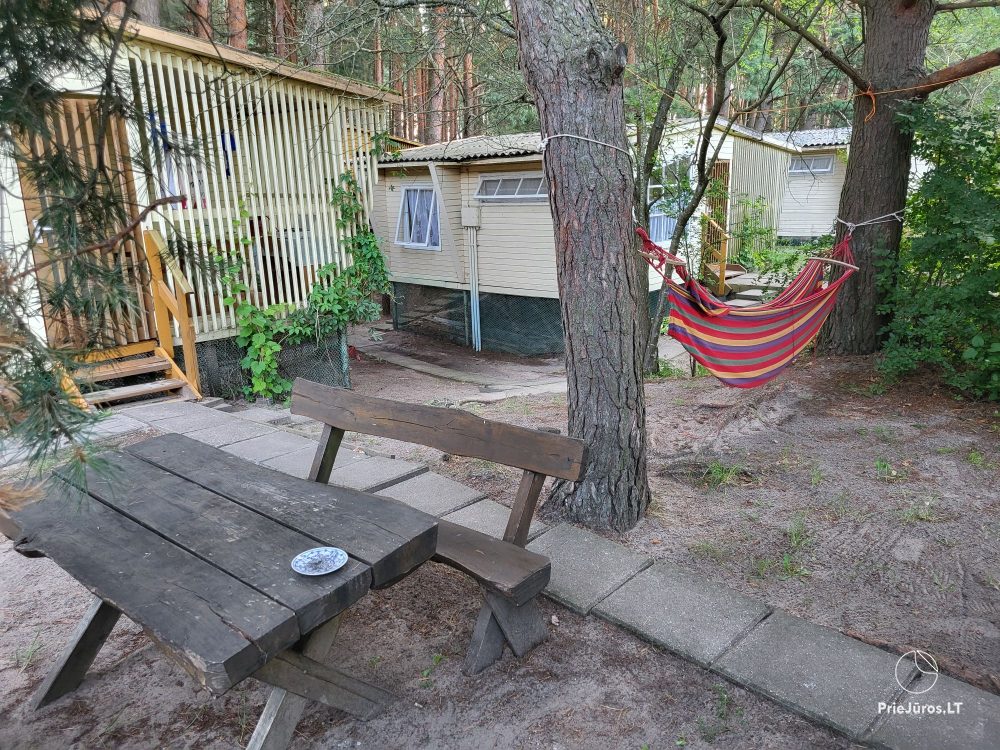 Holzhäuser Pingvinas