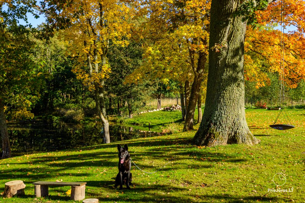 Oak Villa, separate 2-Zimmer-Wohnung mit eigener Terrasse/Pavillon.