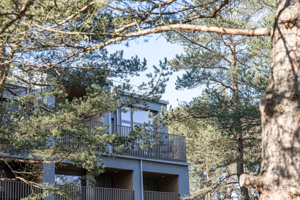 Dünen Tal Oase – Kunigiškiai – Apartments mit Balkon im Kiefernwald, nur 300m zum Meer