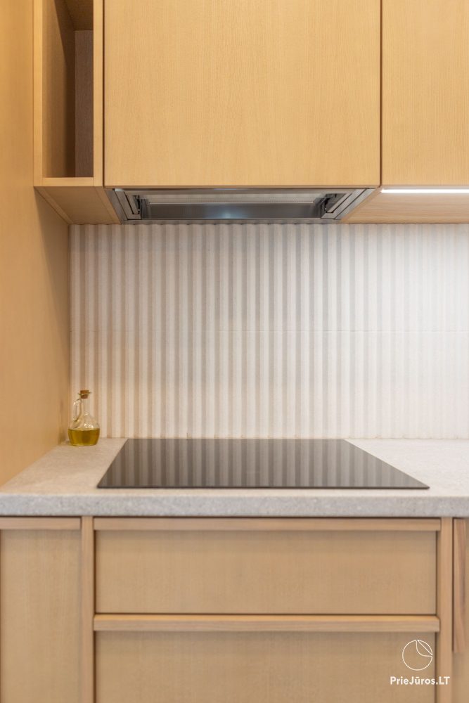 Ciau miau apartments Ferienhäuser - Wohnungen in Kunigiškės