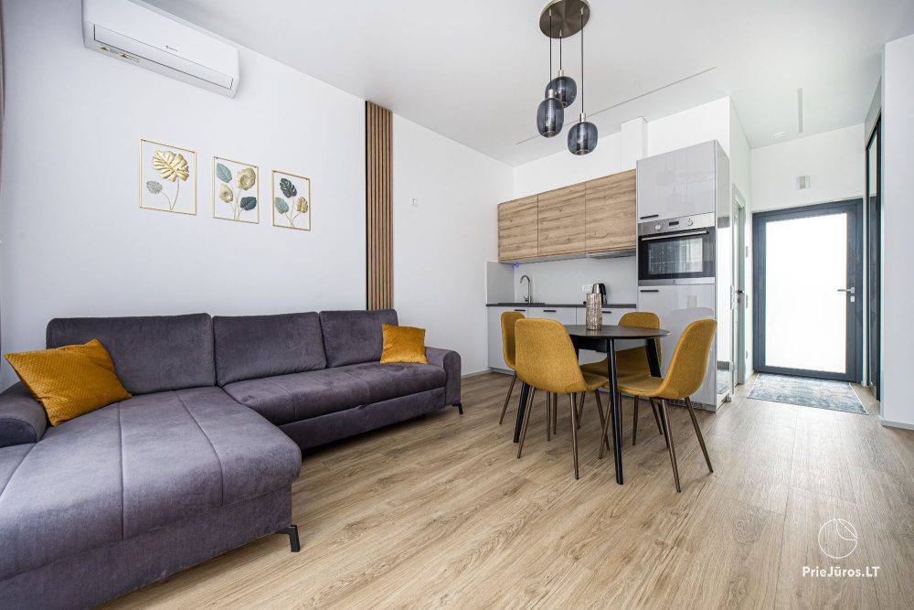 Einstöckiges Ferienhaus „Brauni Modern“ in Kunigiškiai