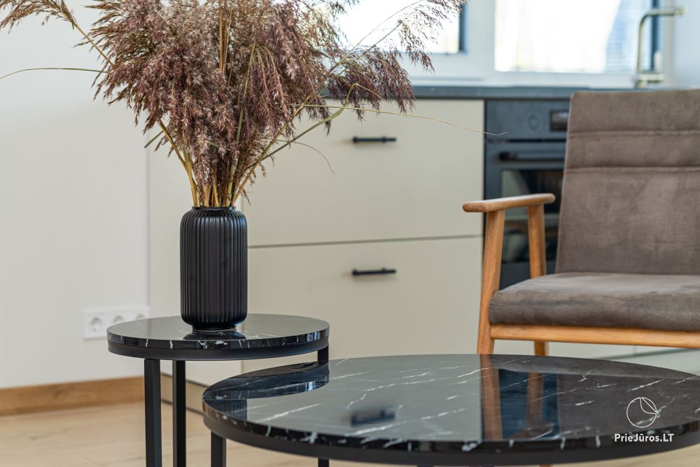 Neue Wohnungsvermietung Amber Stone Monciškės. - 1