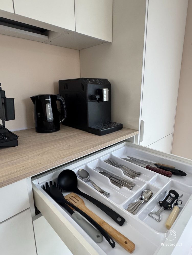 Neue Wohnungsvermietung Amber Stone Monciškės.