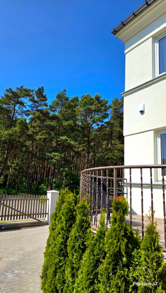 Felix' Villa - in Palanga