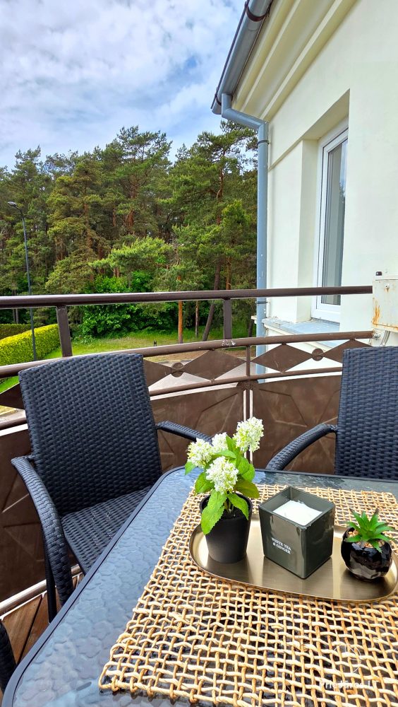 Felix' Villa - in Palanga