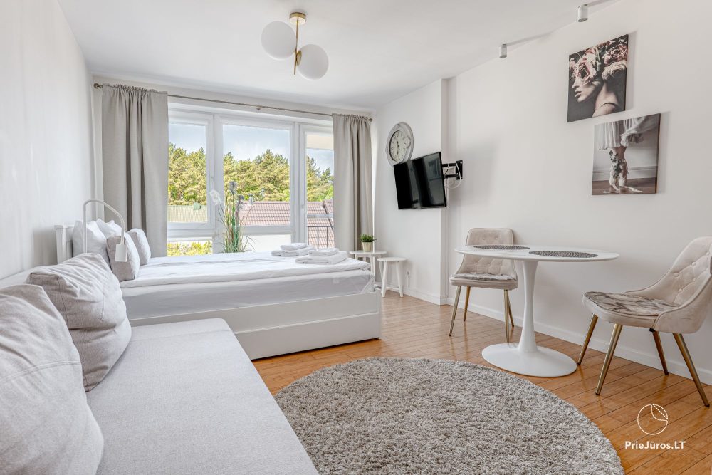 Palanga Central - Studio-Apartments - 1