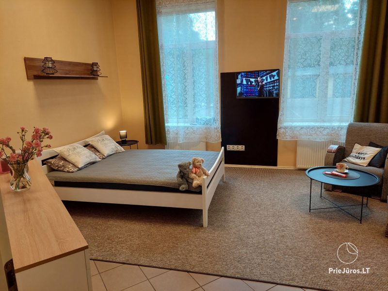 PUNKTS 53. Einzimmerwohnung mit Außenterrasse im Garten