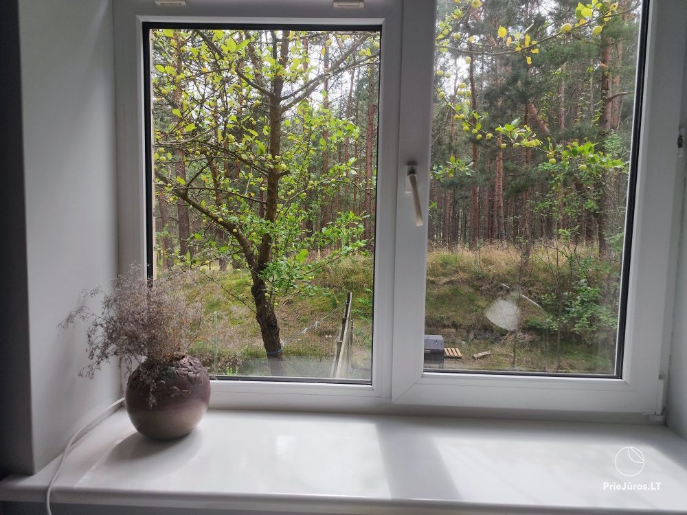 2-Zimmer-Apartments in Nida nahe dem Wald, separater Eingang, Innenhof