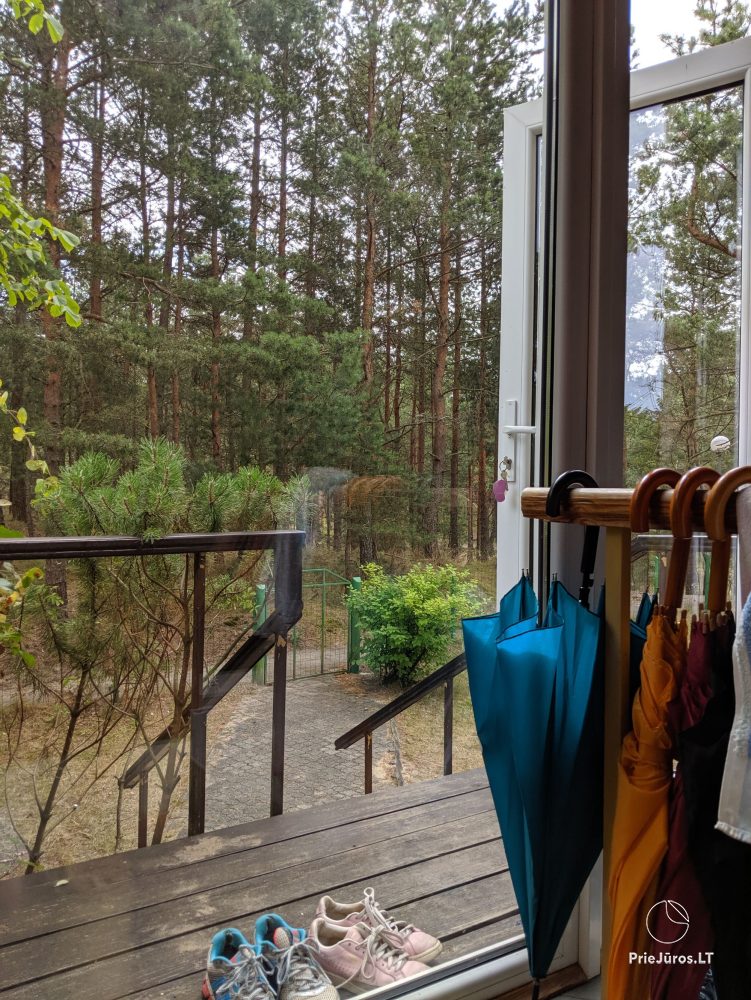 2-Zimmer-Apartments in Nida nahe dem Wald, separater Eingang, Innenhof