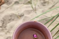 Tavo Pajūrio Namai - 2-stöckiges Häuschen, das für Ruhe, Licht und Herzensruhe in Palanga entworfen wurde