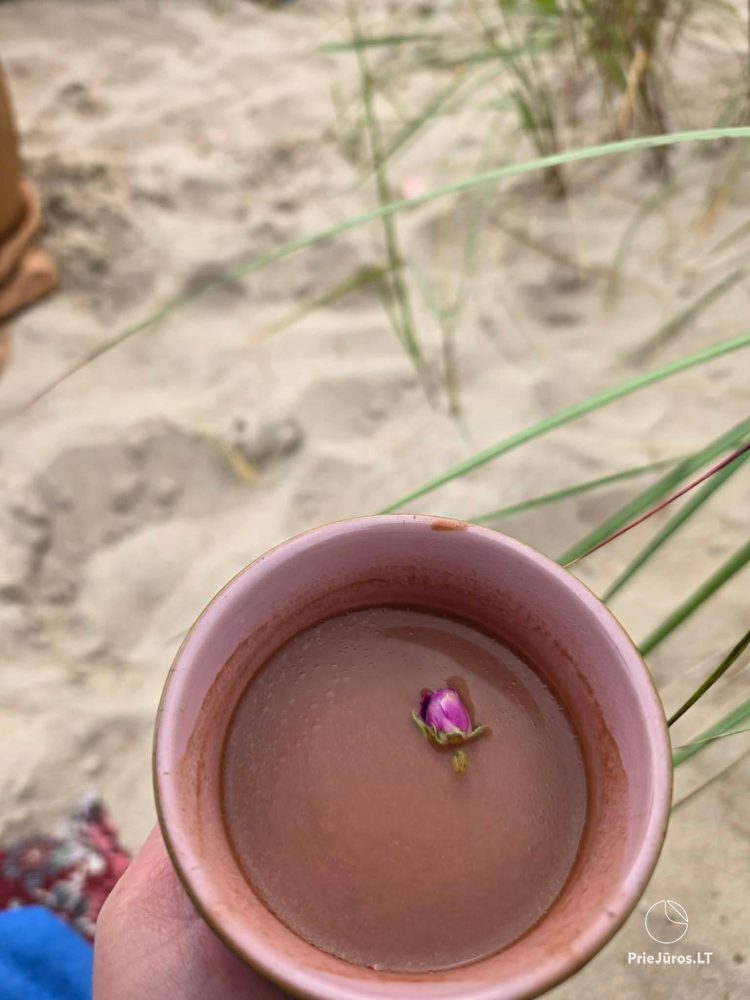 Tavo Pajūrio Namai - 2-stöckiges Häuschen, das für Ruhe, Licht und Herzensruhe in Palanga entworfen wurde