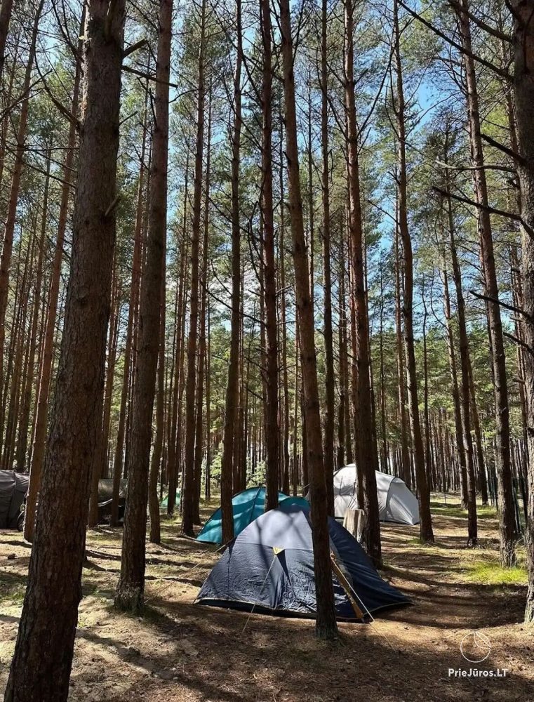 Campingplatz in Palanga