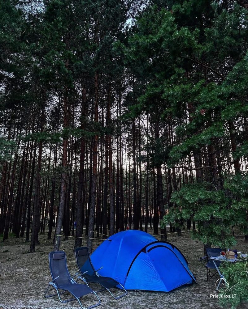 Campingplatz in Palanga
