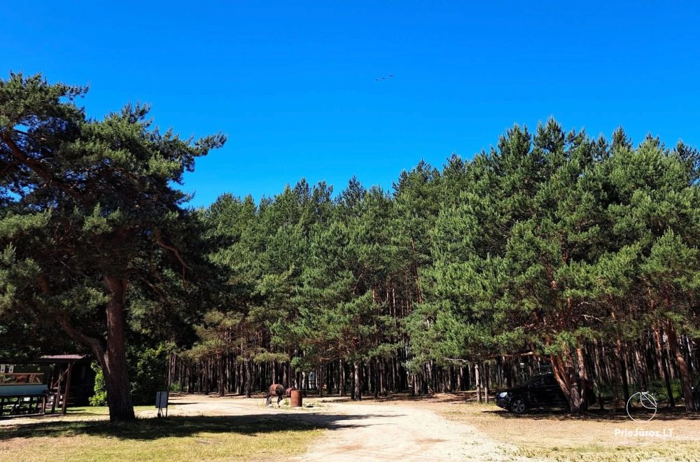 Campingplatz in Palanga - 1
