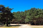 Campingplatz in Palanga