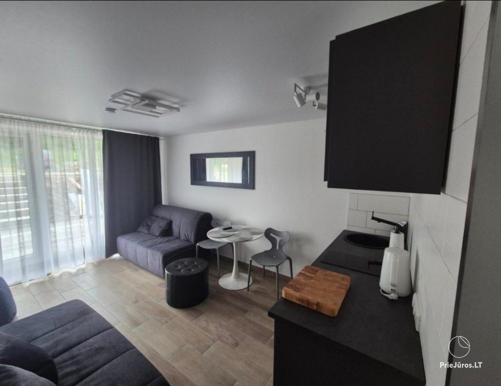 Studio-Apartment - Meguvos 9 - 1