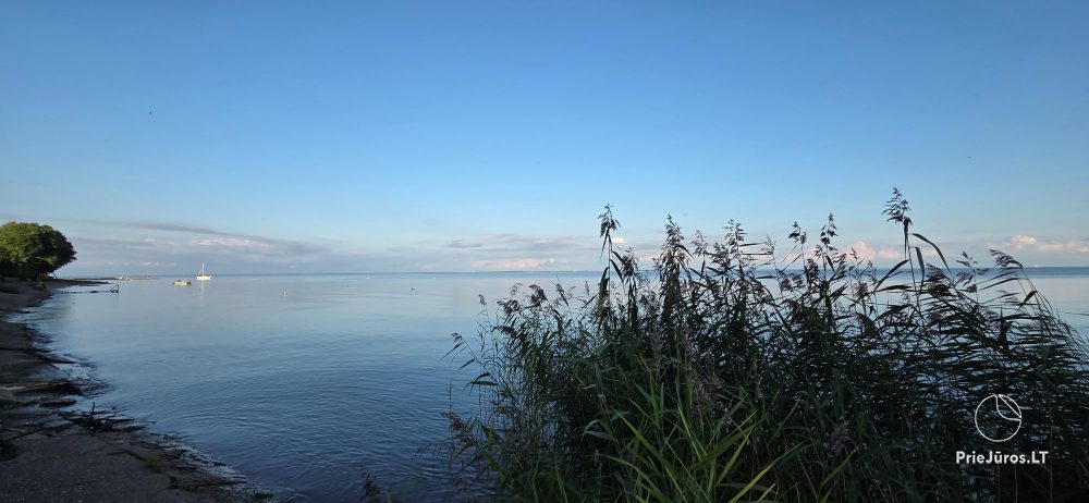 Solarwohnungen in Preila