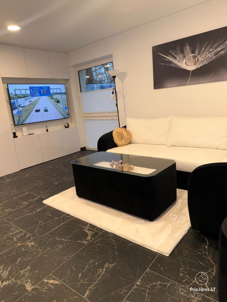Moderne minimalistische Luxuswohnung Klaipėda