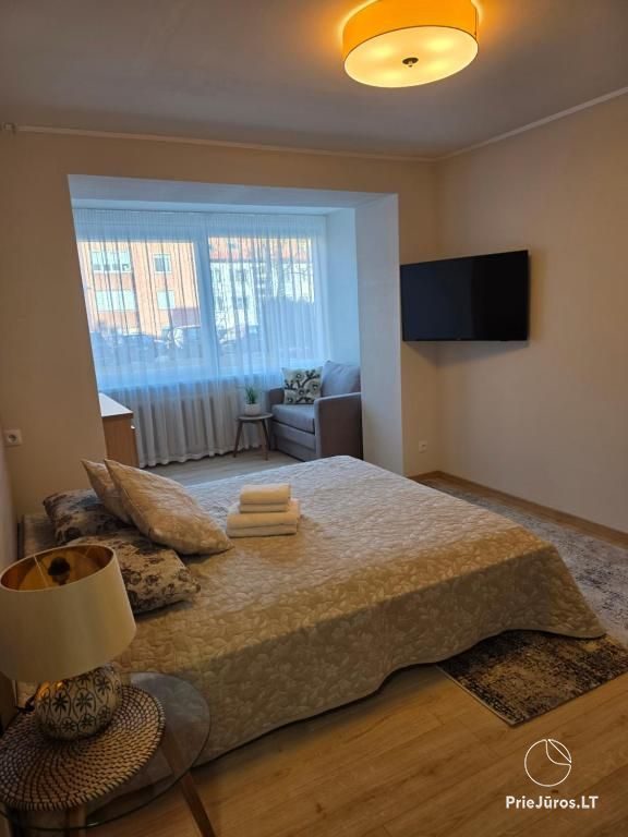 Zentrum von Nida - Einzimmerwohnung in der Taikos Str.