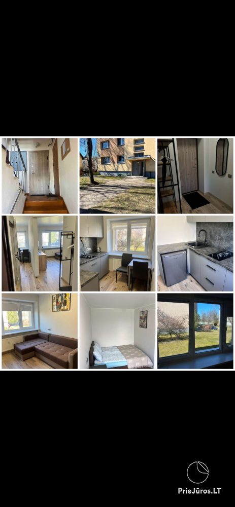 Wohnungsvermietung - 1