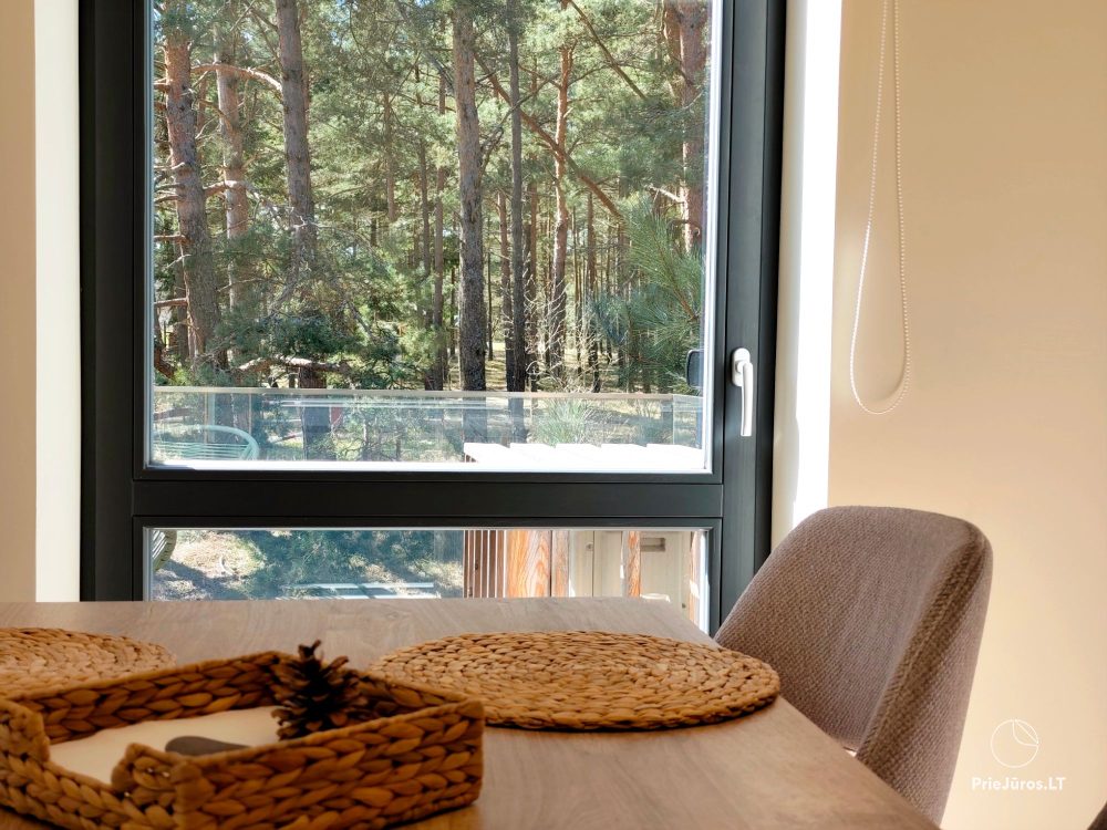 Apartments „Launagis“ in Nida