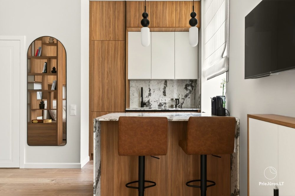 Elegant Studio Zentral Klaipėda - 1