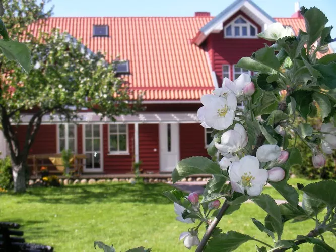 Appartements in Palanga in Privaten Gastehaus - Landhaus Obelyne