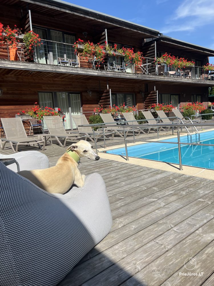 Appartements, Suiten, Zimmer – Villa VITALIJA in Palanga mit beheiztem Schwimmbad