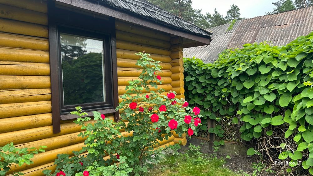 Anwesen in Sventoji Audrones sodyba - Zimmer, Appartements, Ferienhutte
