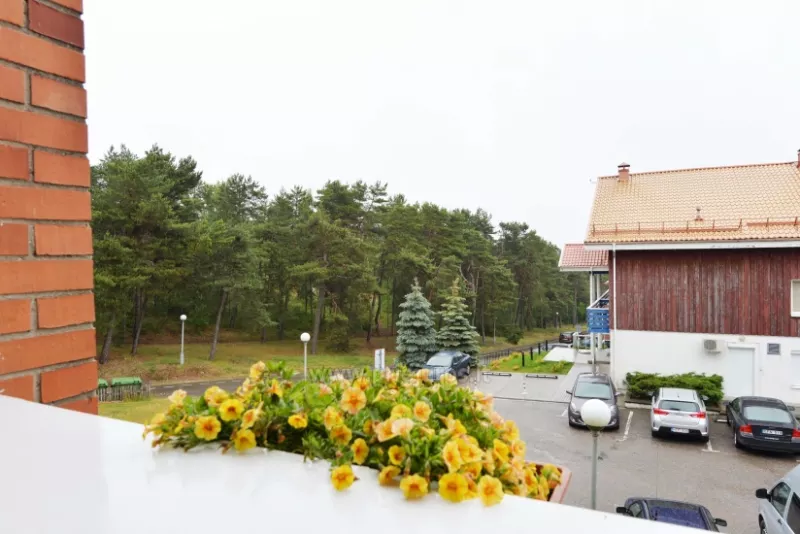 Zwei-Zimmer-Wohnung am Leuchtturm in Nida