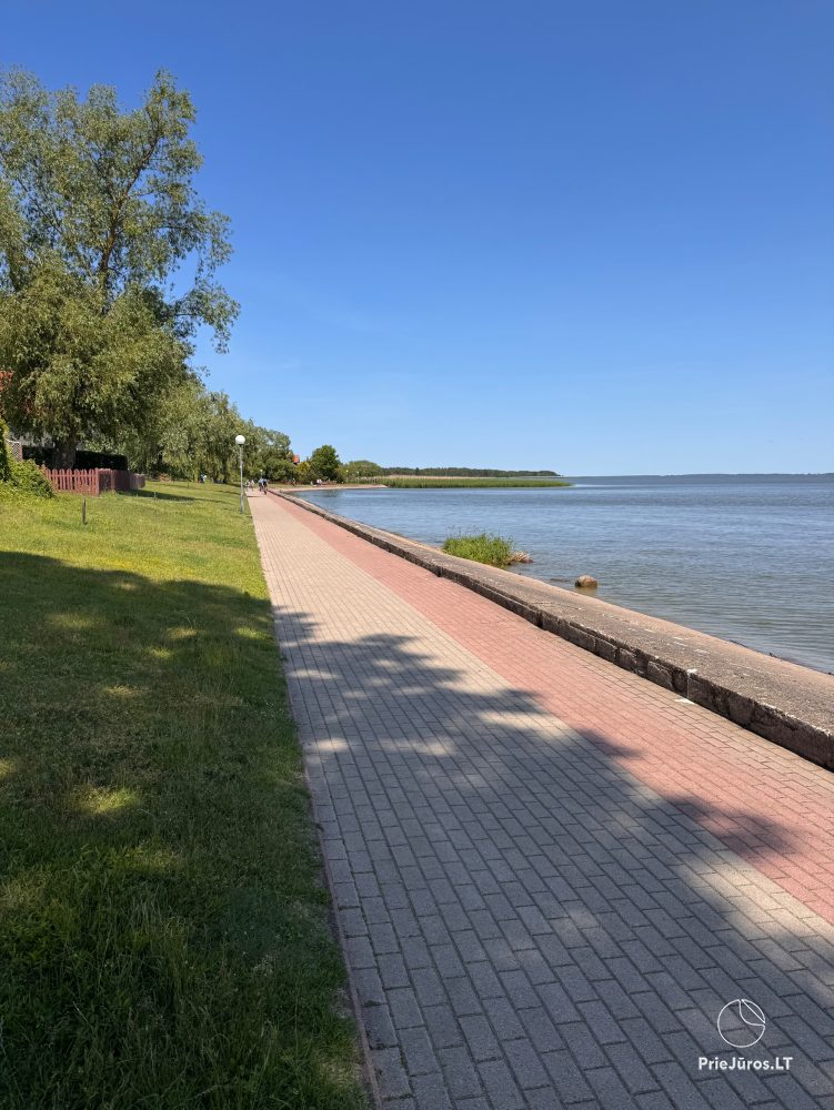Studio-Wohnung in Nida: im Erdgeschoss, mit Blick auf die Lagune, eine Laube mit Gartenmöbeln auf dem Hof