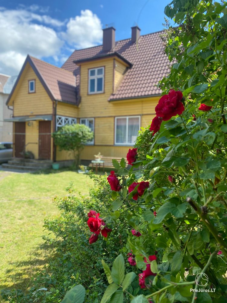 Einzelwohnung und Zimmer in Palanga, in einem Privathaus Pas Birutę