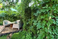 Holzhaus und Wohnung im Einfamilienhaus mit allen Annehmlichkeiten und eine Terrasse in Palanga