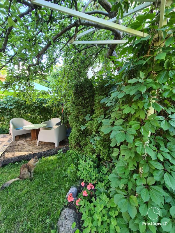 Holzhaus und Wohnung im Einfamilienhaus mit allen Annehmlichkeiten und eine Terrasse in Palanga