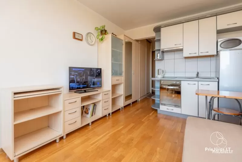 Einzimmerwohnung zu vermieten in Nida