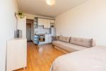 Einzimmerwohnung zu vermieten in Nida - 2
