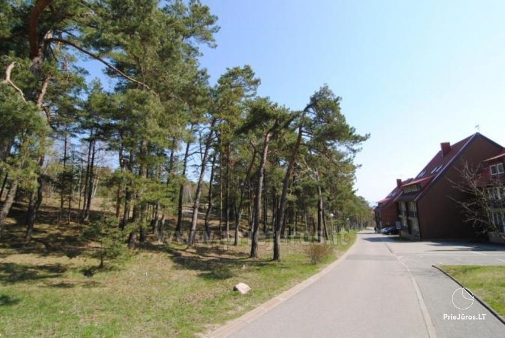 1-Zimmer-Studio-Apartment ŠALIA PUŠYNO: in der Nähe Nida Zentrum