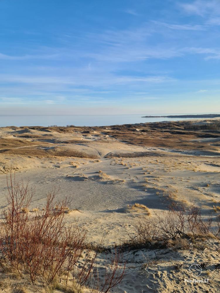 Unterkunft in Kurische Nehrung Nida Paradies