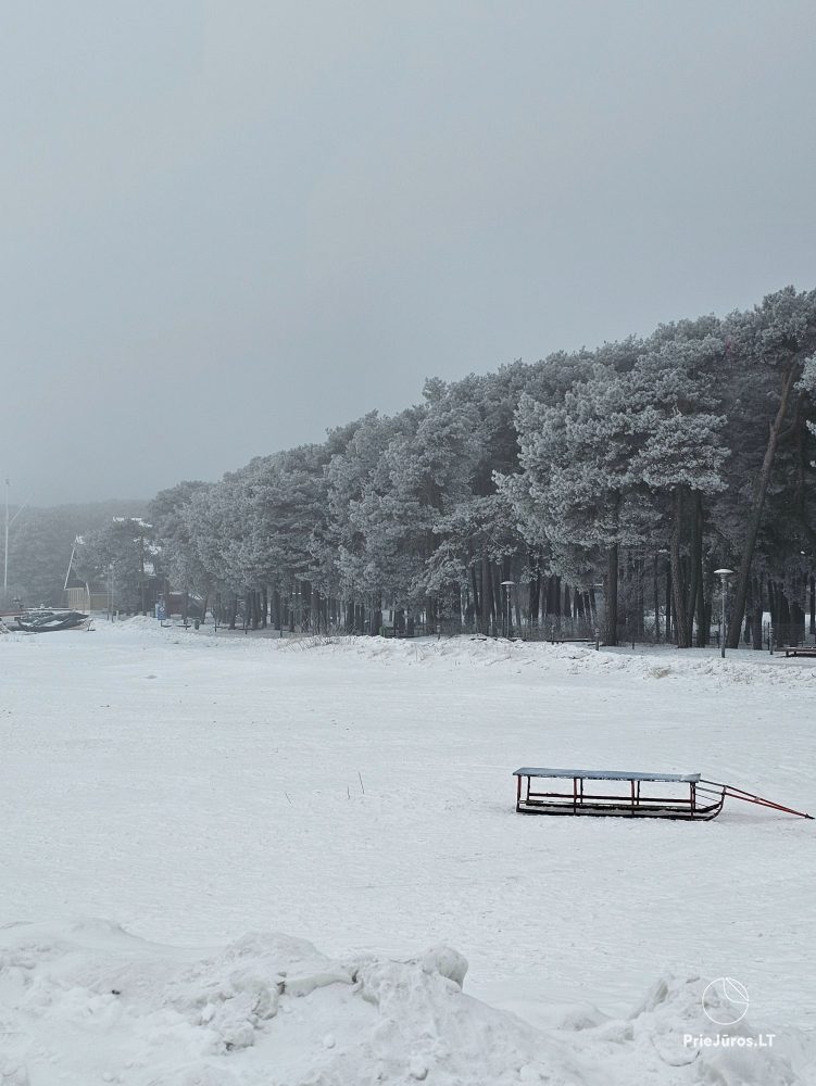 Unterkunft in Kurische Nehrung Nida Paradies