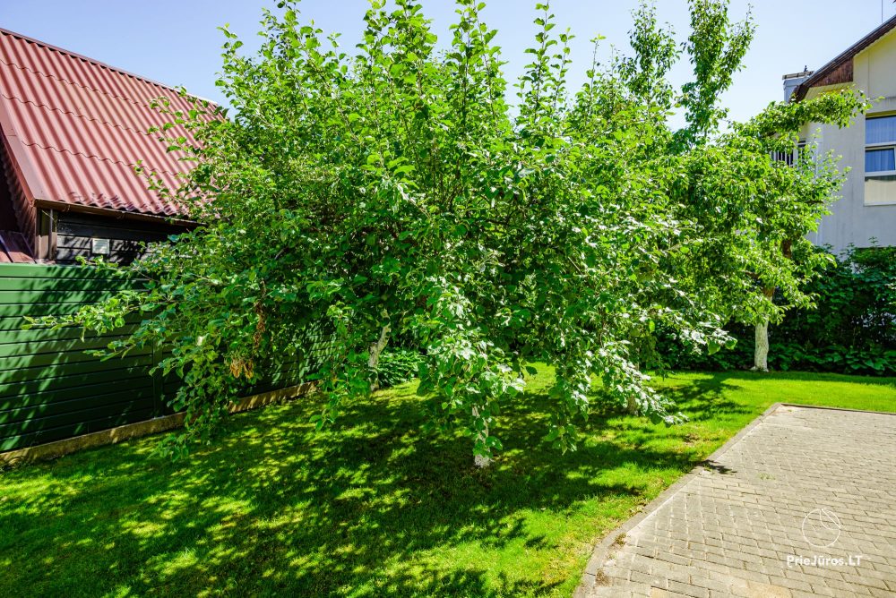 Gut ausgestattete Villa NIDA zur Miete in Palanga