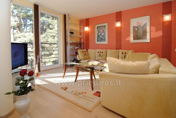 Appartement in Palanga. In der Nähe am Meer Pinienwald, in der Nähe zum Strand