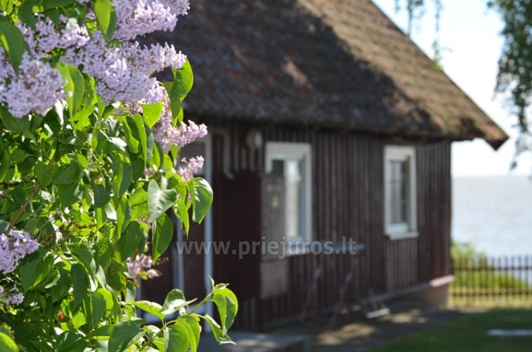 Urlaub in Preila, Kurische Nehrung in Litauen