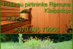 Sauna mit Badehaus Begleiter in Klaipeda