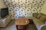 Mini Camping, Zwei-Zimmer-Ferienhaus, Mobil Vermietung Haus - 3